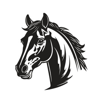 colt mascot, vintage logo line art concept black and white color, hand drawn illustration