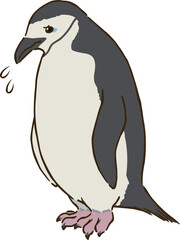 悲しむヒゲペンギン
