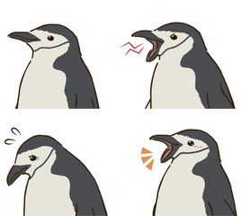 Obraz premium ヒゲペンギンの喜怒哀楽セット