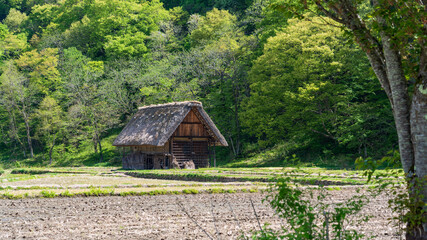 Fototapeta na wymiar World heritage site - The Historical Village of Shirakawa-go, Gifu, Japan.