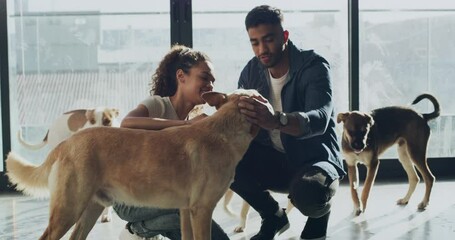 Adoption, animal shelter and a couple hugging a puppy at a rescue center for charity or welfare together. Pet, love or empathy with a man and woman adopting a young dog from a community kennel - Powered by Adobe