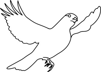 Bird Outline Icon