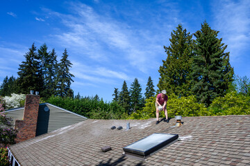 Middle aged caucasian woman sprinkling moss killer granules on an asphalt shingle roof, home...