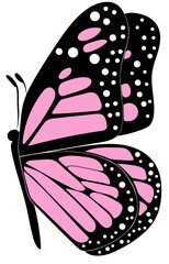 pink and black and white butterfly silhouette