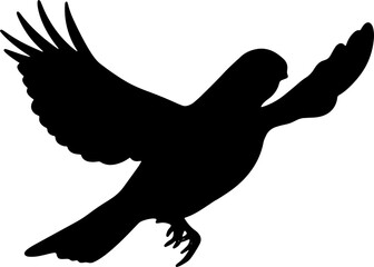 Bird Silhouette Illustration