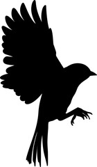 Bird Silhouette Illustration