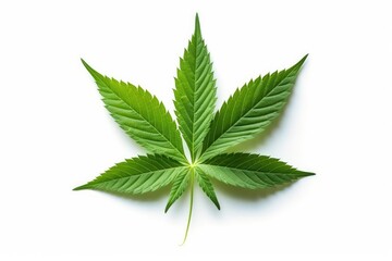 Green cannabis leaves isolated on white background, Medical marijuana , Generative AI