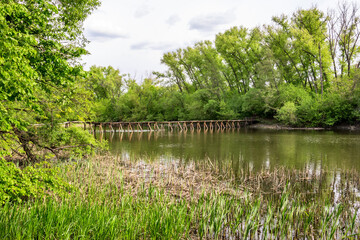 Wooden footbridge across the river in a deciduous forest