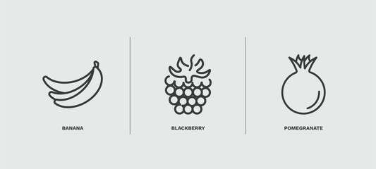 set of vegetables and fruits thin line icons. vegetables and fruits outline icons included banana, blackberry, pomegranate vector.