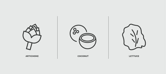 set of vegetables and fruits thin line icons. vegetables and fruits outline icons included artichoke, coconut, lettuce vector.