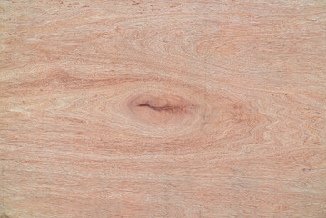 Wood texture. Surface of teak wood background for design and decoration.