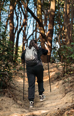 Fototapeta premium Back view of Asian woman hiking in the mountain forest.