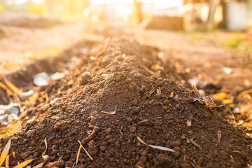 Textured fertile soil  for cultivation as background. The potting soil or peat is suitable for gardening and is one of the four natural elements. Land is life for our planet earth. Gardening season.
