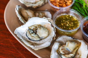 Close-up oysters in serving plate, medium grilled oysters with spicy seafood sauce, chilli plate, deep-fried shallot and Acacia leaves. Thai food popular seafood menu.