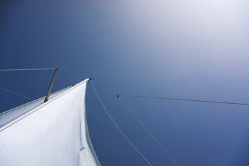 Fototapeta premium Mainsail shot from directly below