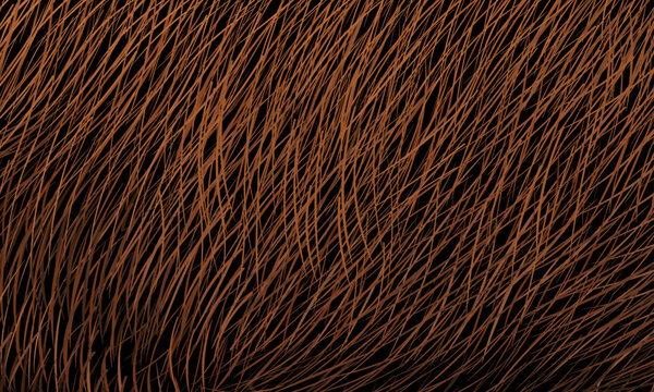 Abstract pattern of red and brown lines on a black background. Arbitrary composition, copy space. Vector illustration, EPS 10.
