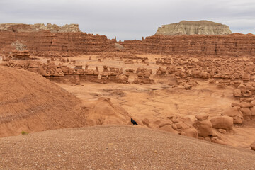 Crows with scenic view on White Butte Looming over Red Rocks in Goblin Valley State Park, Utah, USA. Unique Hoodoo Estrada sandstone rock formations. Mushroom-shaped rock pinnacles in San Rafael Swell