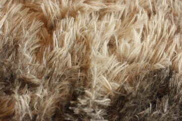 close up of a fur