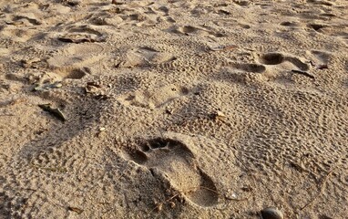 Fototapeta na wymiar Footprints in sand at the beach. Walking step footprints in the sand beach at the sea.