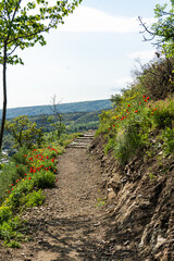 Hike path on the slope of Mtatsminda mount