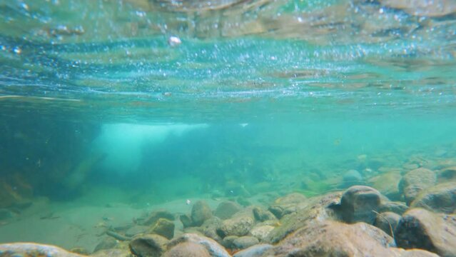 4K underwater shot of crystal clear water of the water stream in the Himalayan mountains of Manali in Himachal Pradesh, India. Clear water of the Himalayas. Underwater pure water background.