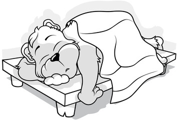Drawing of a Forest Bear Sleeping on an Oak Wooden Bed
