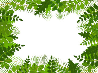 Fototapeta na wymiar tropical jungle with leaves background