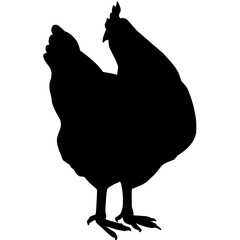 silhouette of a hen