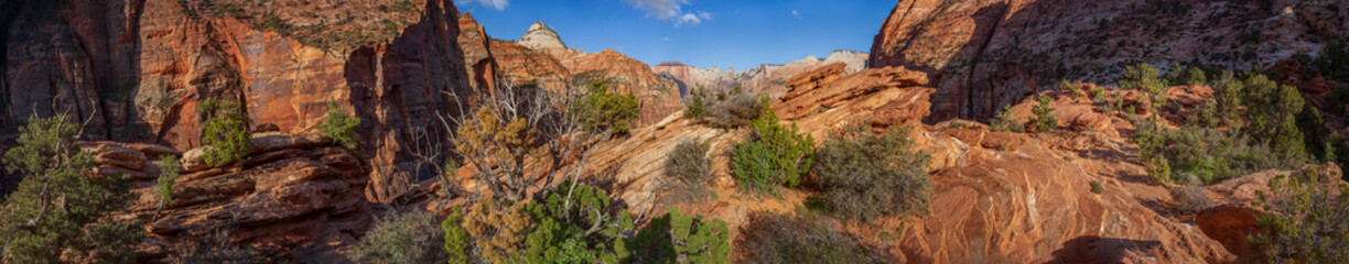Panoramic views of the beautiful landscapes of Zion National Park.