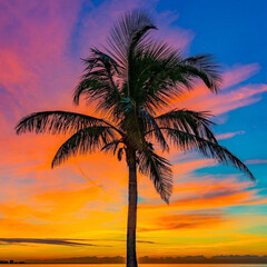 palm trees at sunset generated AI