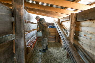 Farmer men pouring feed for goats with on farm