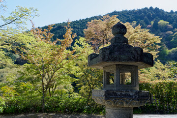 新緑に彩られたお寺の石灯籠