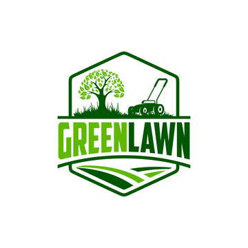 Illustration vector graphic of lawn care, landscape, grass concept logo design template 001