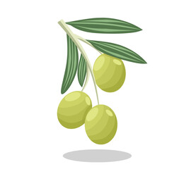 olives on stalk with leaves vector illustration, isolated at white background