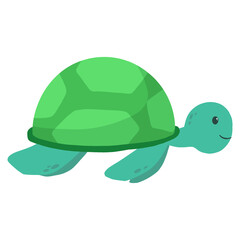 turtle cartoon animal illustration 