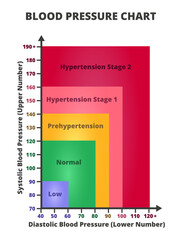 Vector infographic of blood pressure chart or blood pressure management chart. Blood pressure levels – low, normal, prehypertension, hypertension stage 1 and stage 2. Medical health care concept.