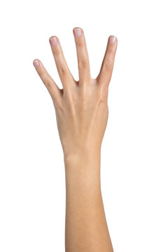 Woman hand counting isolated on white background, with clipping path.  Four fingers. Full Depth of field. Focus stacking. PNG