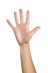 Woman hand counting isolated on white background, with clipping path.  Five fingers. Full Depth of field. Focus stacking. PNG