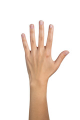 Woman hand counting isolated on white background, with clipping path.  Five fingers. Full Depth of...