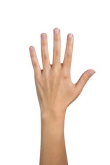 Woman hand counting isolated on white background, with clipping path.  Five fingers. Full Depth of field. Focus stacking. PNG