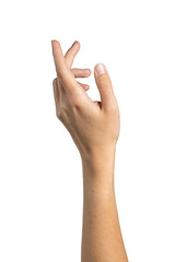 Woman hand shows open palm isolated on white background, with clipping path.  Five fingers. Full...