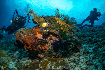 Unterwasser Fotografen  am Korallenriff im Komodo Nationalpark