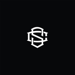 cs logo