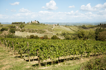 a landscape of Tuscany hills on a sunny day