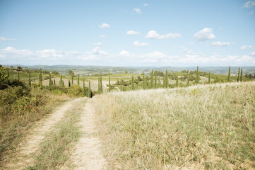 Fototapeta na wymiar a landscape of Tuscany hills on a sunny day