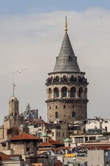 Fototapeta na wymiar 17-04-2023 Istanbul-Turkey: Galata Tower, Seagulls and Cityscape