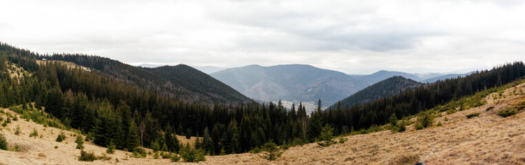 Carpathians. Ukraine. Mountain landscape. Winter Carpathians 2023 without snow