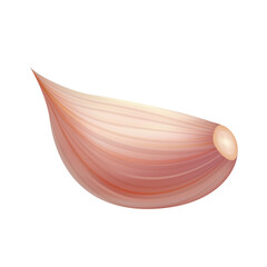 Garlic organic vegetables. Herbs cooking ingredients healthy natural food. PNG 3d illustration. isolated on transparent background.