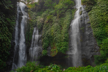 Fototapeta premium Bali Waterfalls Unveiled
