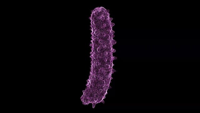 3D Bacterium rotates on black background. Object made of shimmering particles. Health Medicine concept. For title, text, presentation. 3d animation 60 FPS.